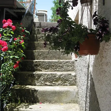 Panzió Villa Irina *